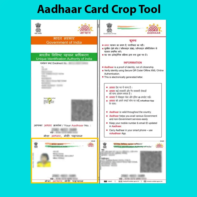 Aadhaar crop example
