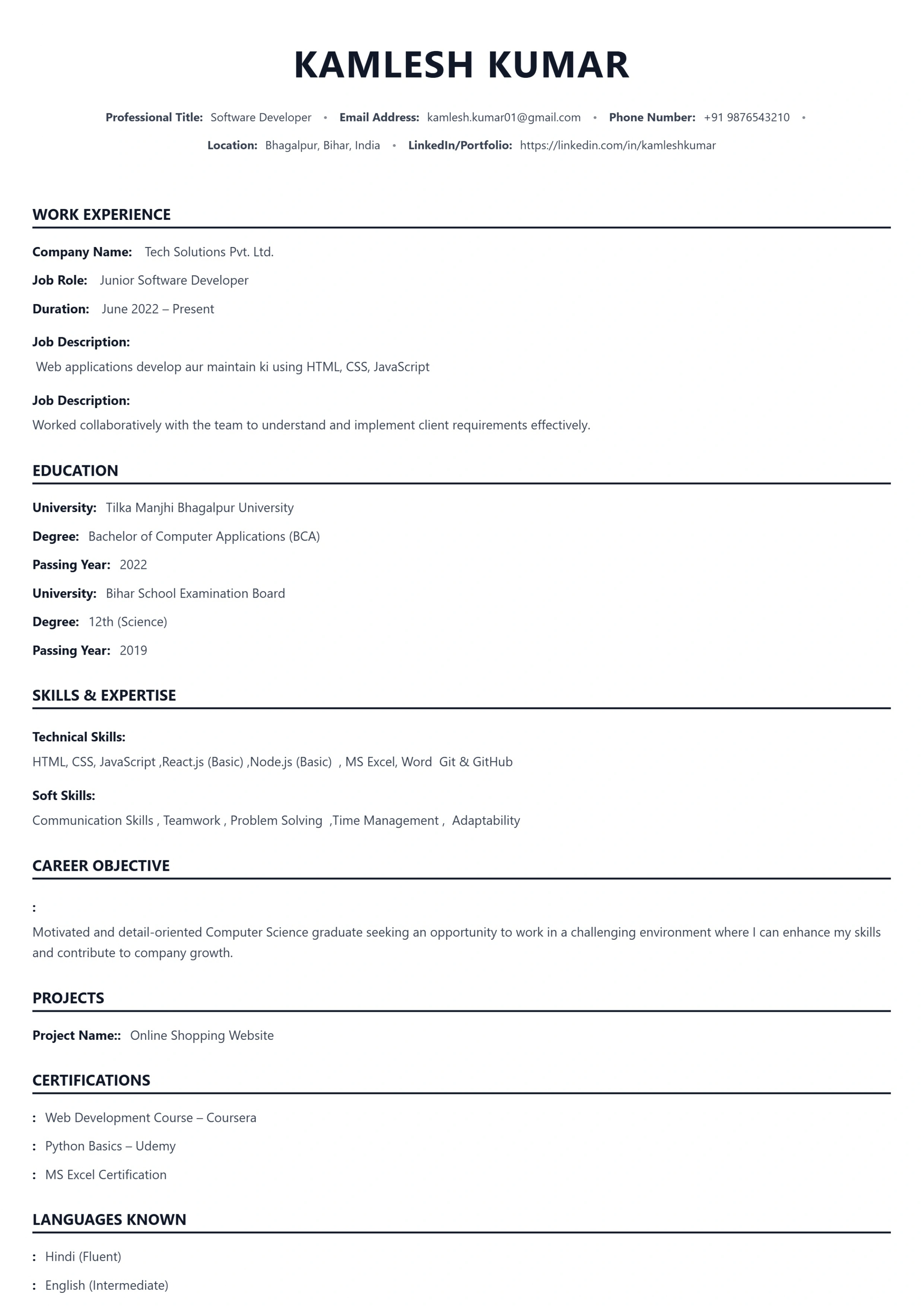 Timeless Classic Resume Preview