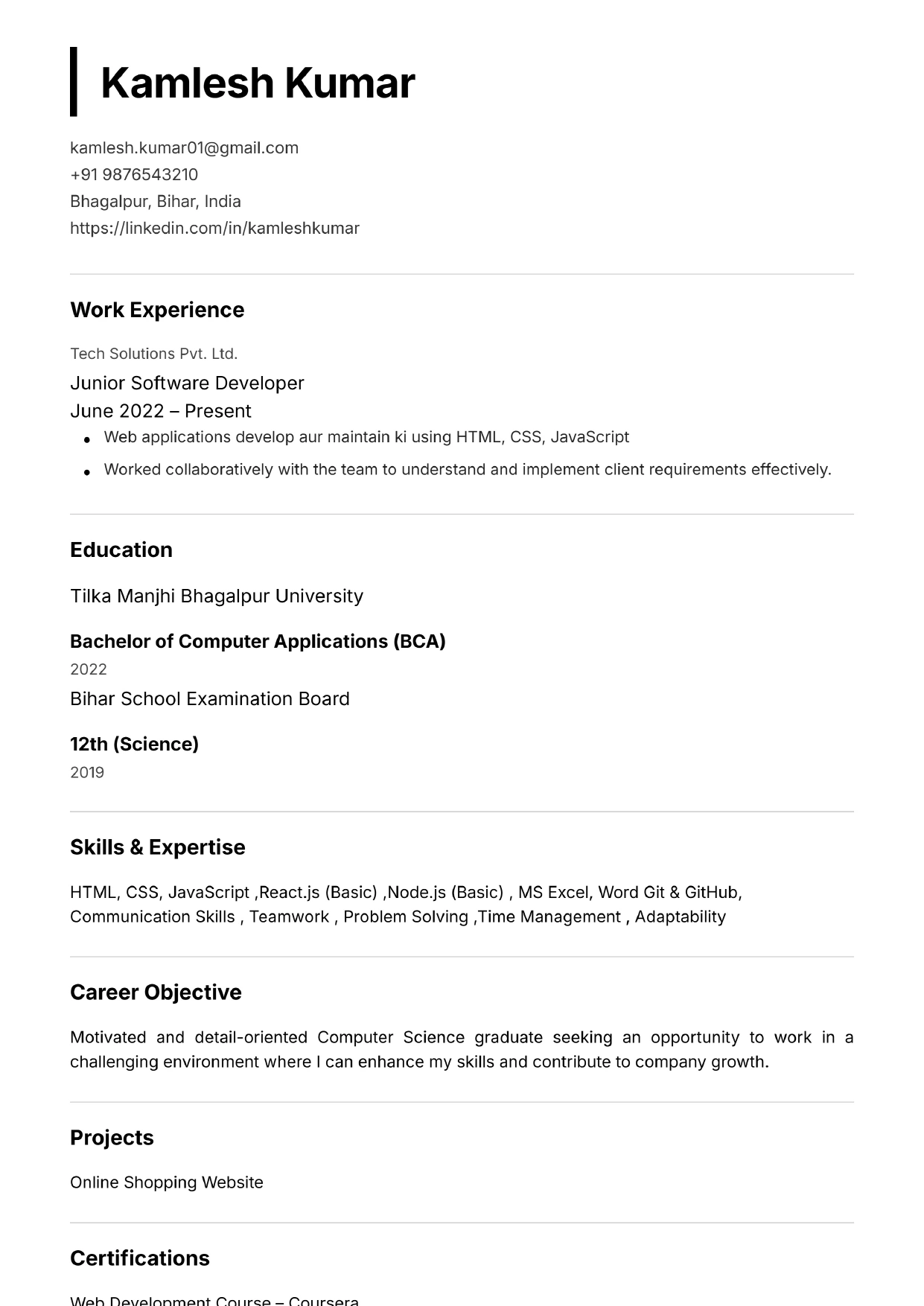 Minimal Pro Resume Preview