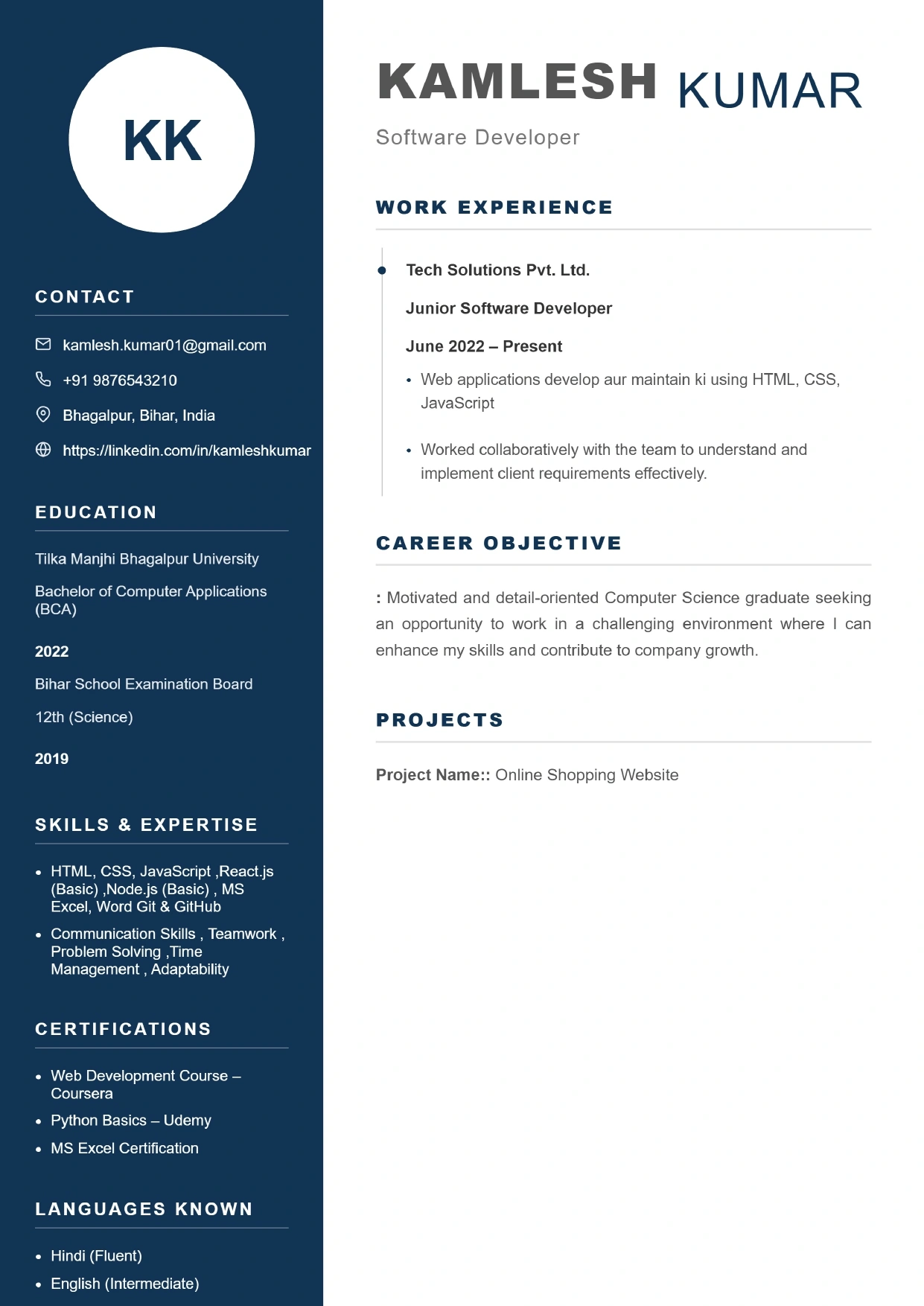 Modern Blue Resume Preview