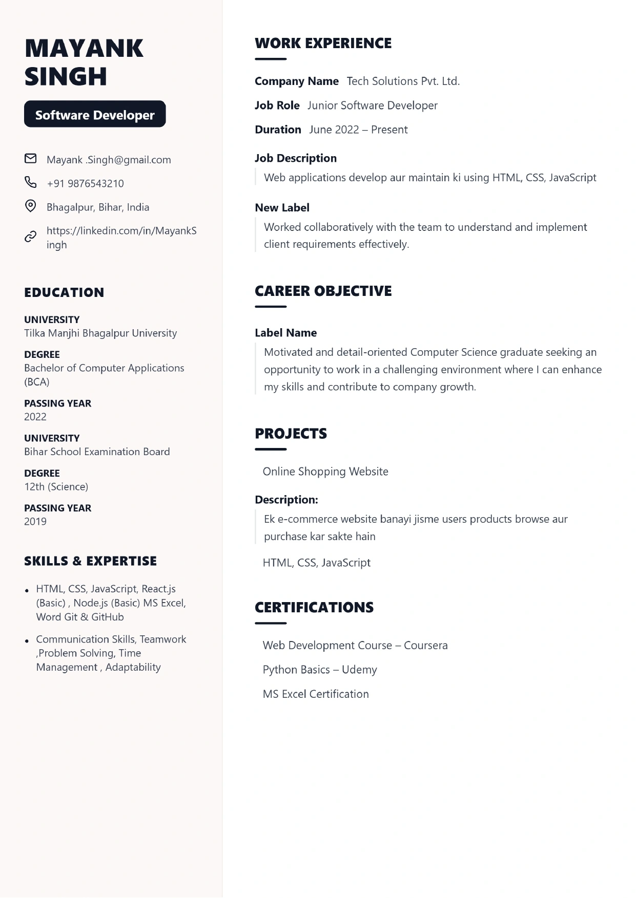 Tech Modern Resume Preview